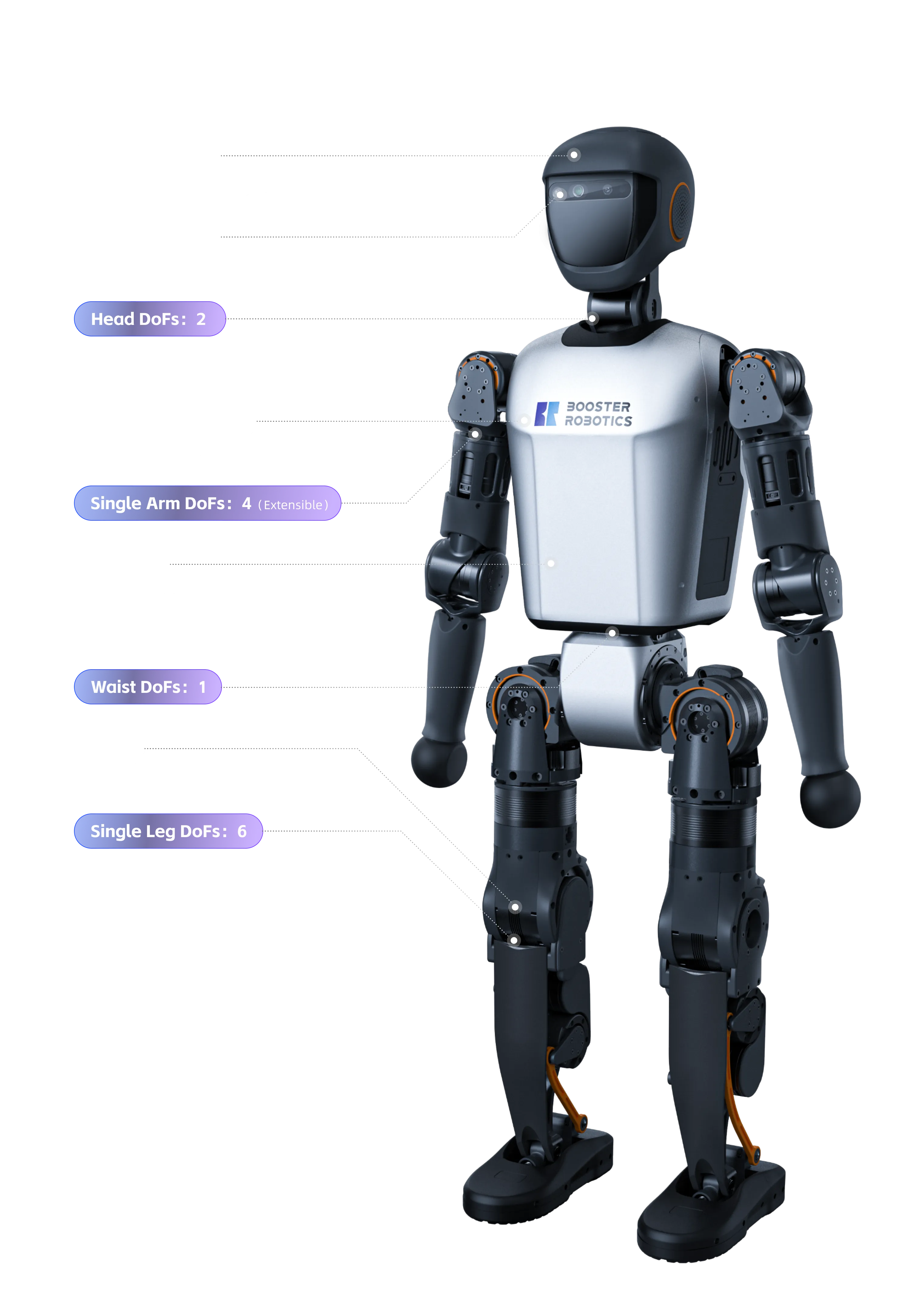 Booster Robotics Robots